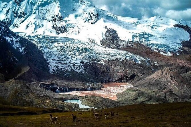 Excursion to Ausangate & 7 lakes with Coca Ceremony |Private| - Price and Value: Is $108 a Good Deal for This Private Tour?