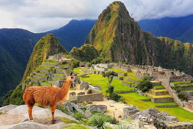 Excursion to MachuPicchu from Cusco with lunch | Private Service| - Private Service in Real Life: What Makes This One-Day Plan Work