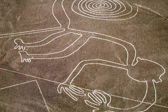 Flight Over the Nazca Lines from Pisco + Huacachina Oasis - Weather and Flight Availability: The Real Risk