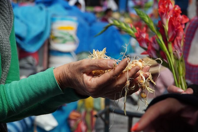 Food and Culture Full day Tour in the Sacred Valley - Key highlights you’ll feel during the day