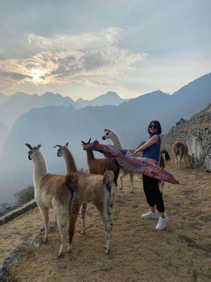 From Aguas Calientes: Machu Picchu guided tour with tickets - Your 3-hour guided citadel route: sundial, condor temple, sacred rock, water mirrors