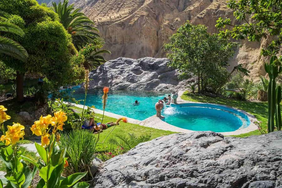 From Arequipa: 2-Day Colca Canyon Trekking Tour - The 3:00 a.m. start that pays off at Cruz del Cóndor