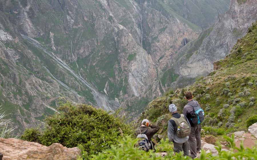 From Arequipa: 2-Day Colca Canyon Trekking Tour - Day 1: Down to the San Juan Valley and on to Sangalle