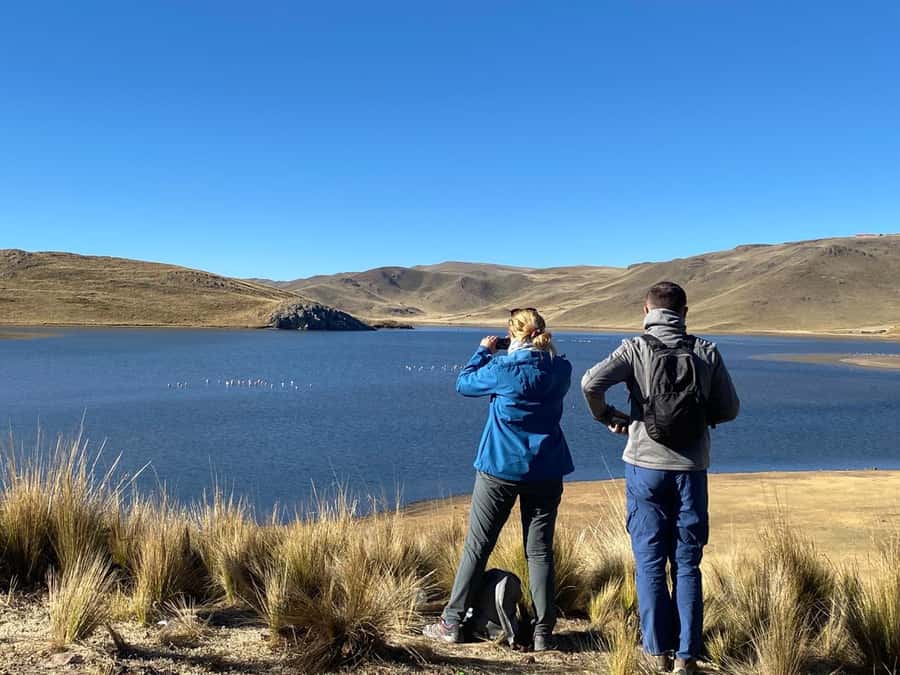 From Arequipa: Colca Canyon Day Trip with Transfer to Puno - Timing, pace, and what to pack so the day feels doable