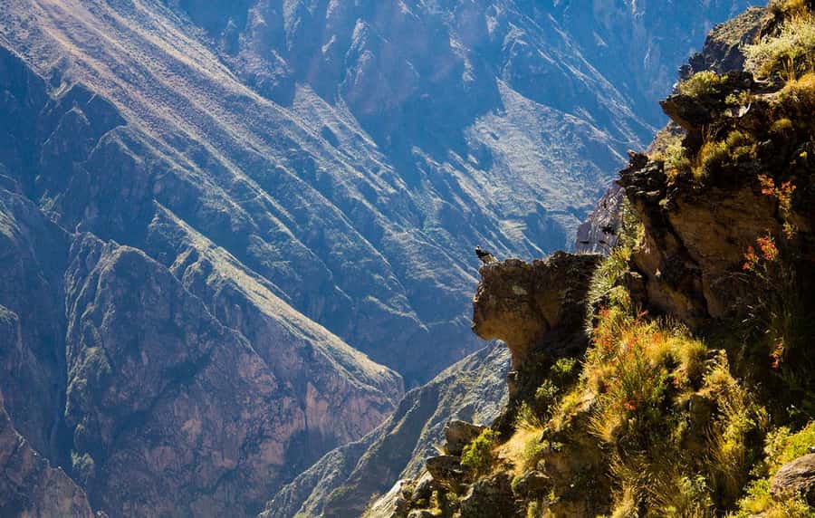 From Arequipa: Colca Valley & Thermal Baths Small-Group Trip - Getting There: Pickup Times, Meeting Points, and Why the Start Is So Early