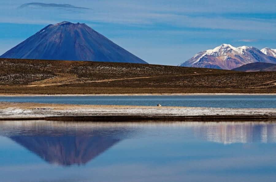 From Arequipa: Salinas Lagoon Full-Day Trip with Hot Springs - Chiguata Town Stop: Breakfast by the Holy Spirit Church