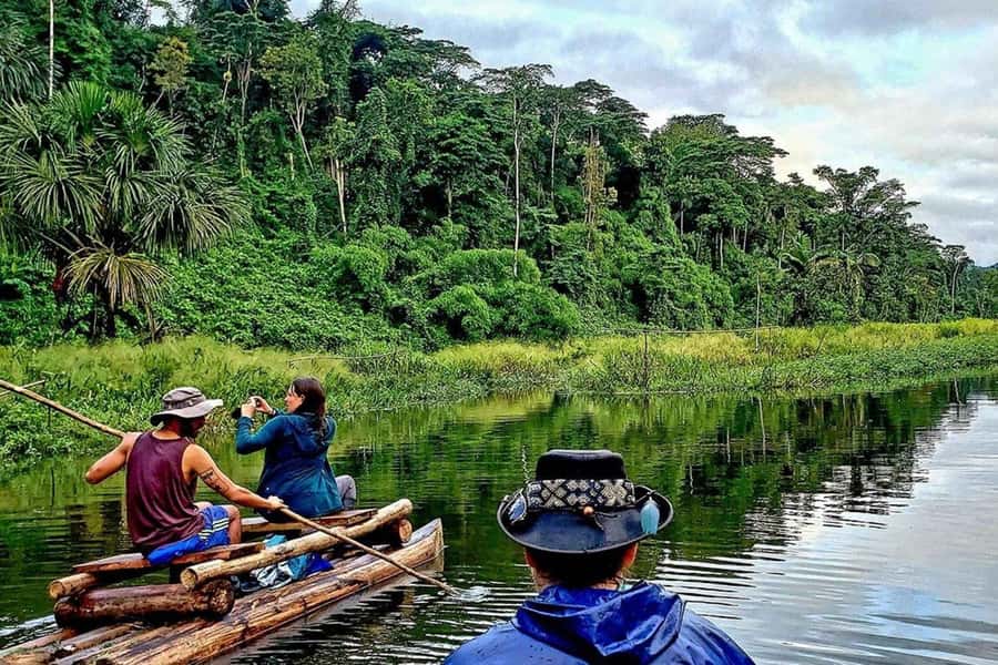From Cusco: 4-Day Manu National Park Guided Tour - Night-time wildlife: caimans, insects, and why timing matters