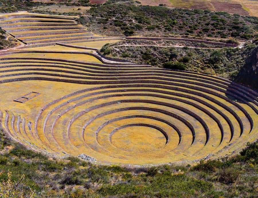 From Cusco: Moray, Maras Salt Mines & Chinchero Weavers Tour - The guide makes the day: what you should look for