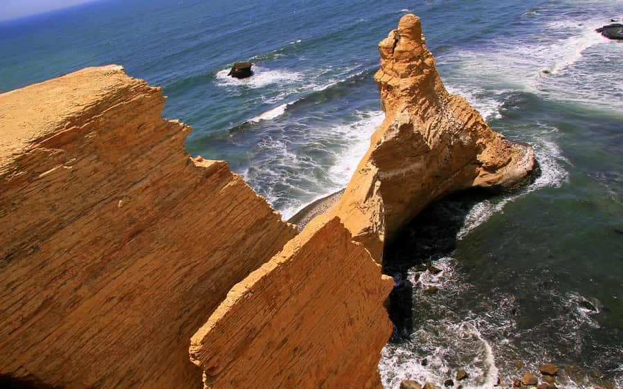 From Huacachina: Ballestas and Paracas Reserve - GROUP TOUR - Price and what $40 really buys in the real world