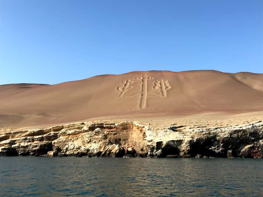 From Huacachina: Ballestas and Paracas Reserve - GROUP TOUR - Paracas National Reserve: the dry desert-coast shock