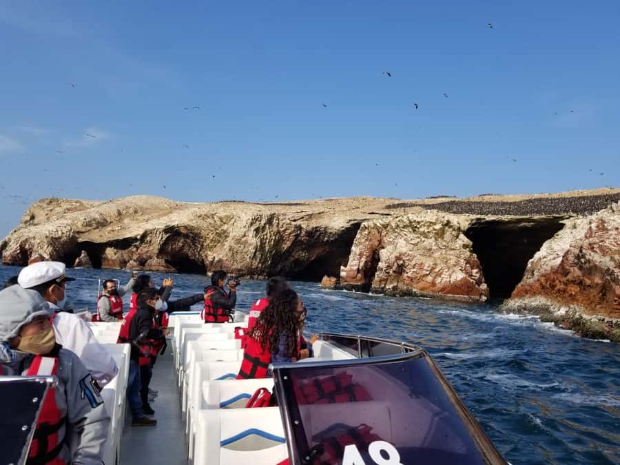 From Huacachina: Ballestas and Paracas Reserve - GROUP TOUR - Accessibility and comfort: wheelchair accessible, but still a physical day