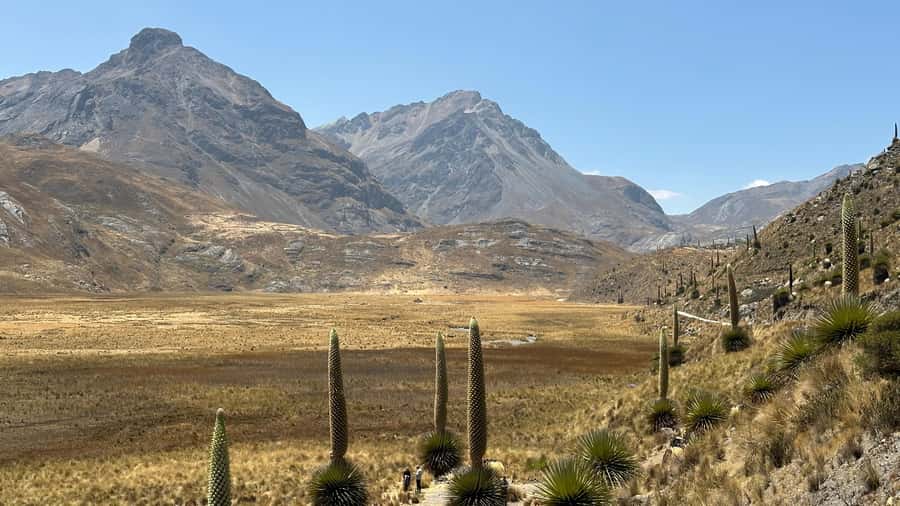 From Huaraz: Tour to the Pastoruri Glacier and Puya Raimondi - Puma Pampa’s carbonated water source: the odd detail you’ll remember