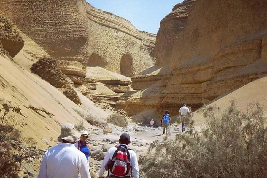 From Ica | Huacachina : Canyon de Los Perdidos | Full Day - Time in Ica After the Canyon: Pisco Tasting and Wine Stop