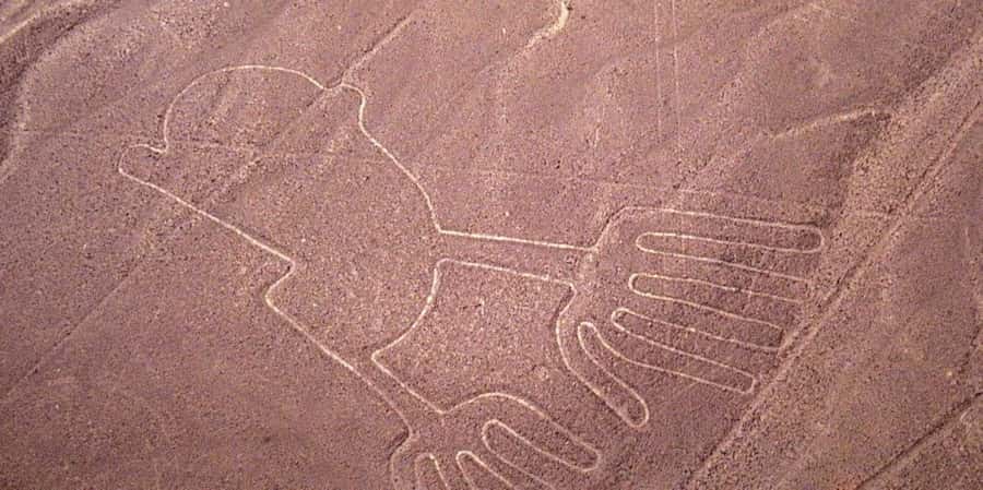 From Ica or Huacachina: Flight Tour Nazca Lines | Overflight - Should you book this Nazca Lines overflight?