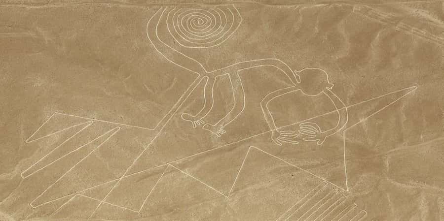 From Ica or Huacachina: Flight Tour Nazca Lines | Overflight - María Reiche Aerodrome briefing: video first, then the view plan