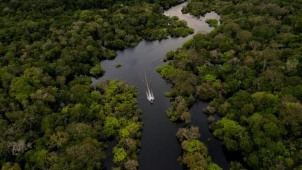 From Iquitos: 3-Day Amazon Jungle Adventure Trip - Price and value: what $467 buys in the Amazon