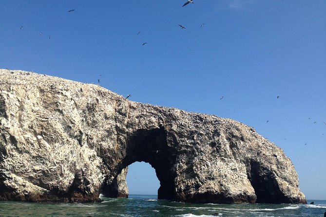 From Lima: Ballestas, Nazca Lines & Huacachina Oasis - Huacachina Oasis: The Dunes Finish Strong
