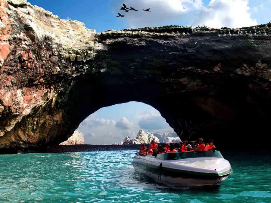 From Lima: Full Day to Paracas and Huacachina Desert Oasis - Should you book this tour?
