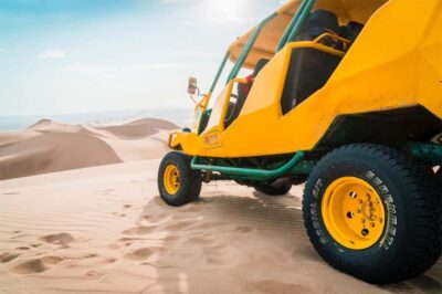 From Lima: Paracas and Huacachina Oasis Full Day Guided Tour - Paracas and the Ballestas Islands boat: wildlife time with real photo odds