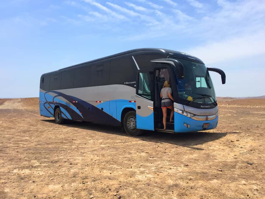 From Lima: Paracas and Huacachina Oasis Full Day Guided Tour - Should you book it?