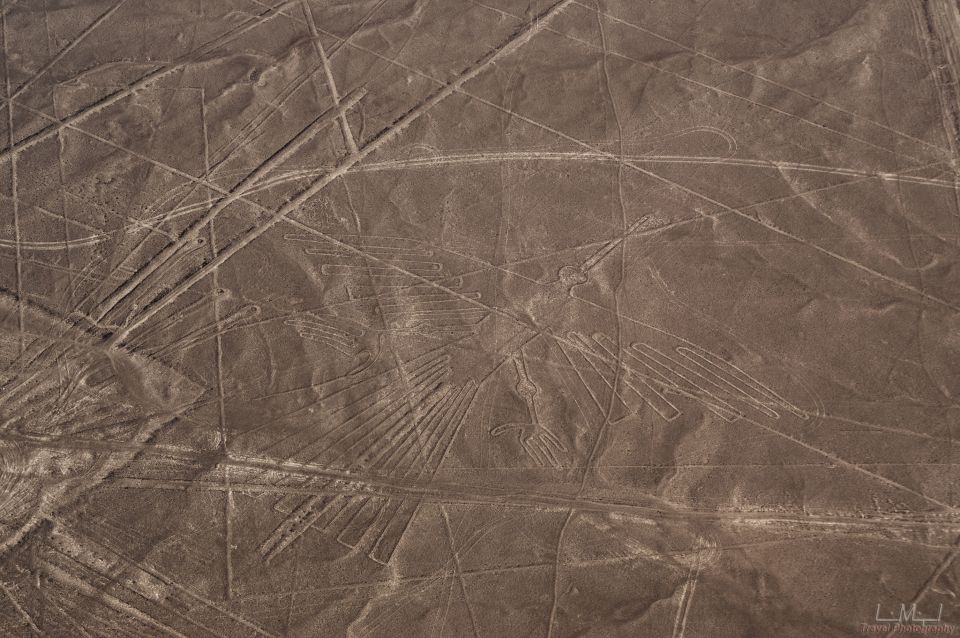 From Nazca: 35-Minute Flight Over Nazca Lines - Airport logistics after landing: why you might wait