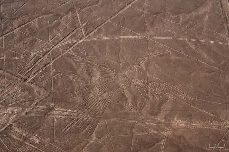 From Nazca: 35-Minute Flight Over Nazca Lines - Price and value: what $125 really covers (and what it doesn’t)