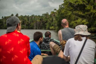 From Puerto Maldonado: Tambopata National Reserve 3-Day Tour - Monkey Island on Day One: close-up monkeys without a long trek
