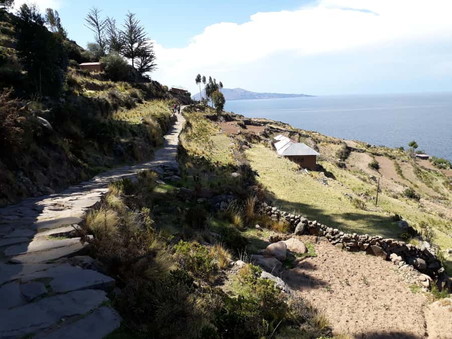 From Puno: full day tour to Uros and Taquile with Lunch - Uros Floating Islands: Totora Homes and How the Rafts Work