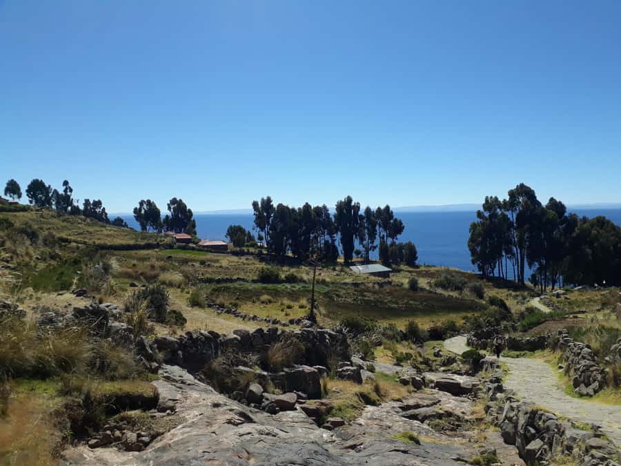From Puno: full day tour to Uros and Taquile with Lunch - Taquile Island: The Hike, the Views, and the Lunch That Lands Right
