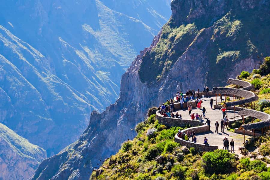 From Puno to Arequipa: 2 Days/1 Night Colca Canyon Tour - Puno to Chivay: where the day starts high and animal spotting is the point
