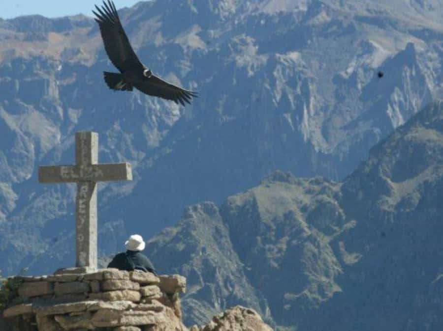 Full-Day Colca Canyon Tour from Arequipa - Why a 3:00 AM pickup matters for Colca Canyon