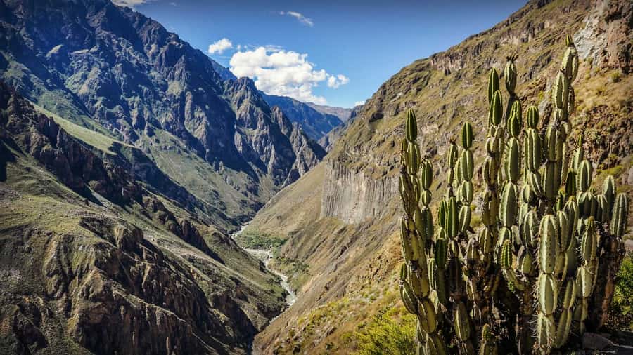 Full-Day Colca Canyon Tour from Arequipa - Lunch and the Chivay reset before the afternoon drive