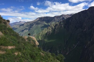 Full Day Tour / Colca Canyon - Hot Springs Chacapi: a real soak, with an extra PEN 15 bill