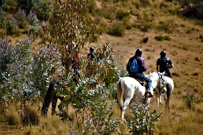 Horse Riding Chacan Mountain And Temple Of The Moon - From Your Hotel to the Ranch: How Transfers and Setup Work