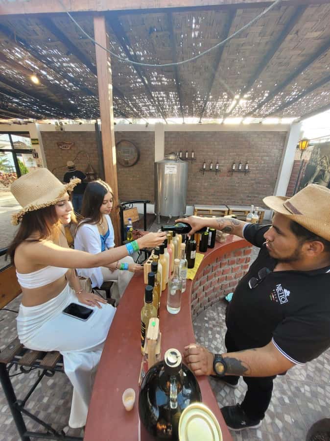 ICA: Pisco and Wine Route with tasting in 03 Wineries - Stop #2 Winery and Second Tasting: Pairings and Premium Wines