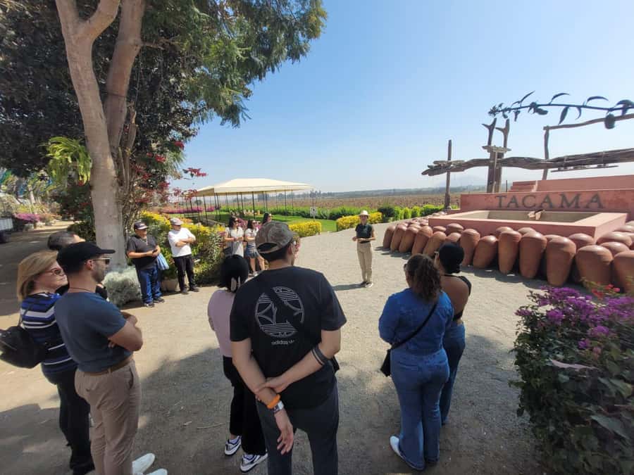 ICA: Pisco and Wine Route with tasting in 03 Wineries - Price and Value: Is $29 Worth It?