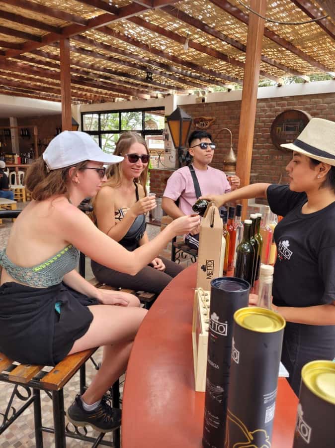 ICA: Pisco and Wine Route with tasting in 03 Wineries - Who This Tour Is Best For