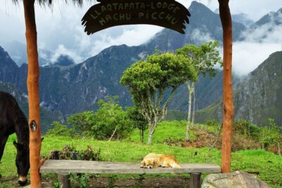 Inca Jungle Premium to Machu Picchu 4-Day and 3-Nights - Day 1: Cusco, biking from Málaga Pass, and a dinner with a local family