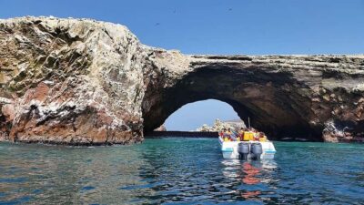 Lima: Ballestas & Huacachina Day Trip w/ Nazca Lines Flight - Ballestas Islands in Paracas Bay: the wildlife show you can’t fake