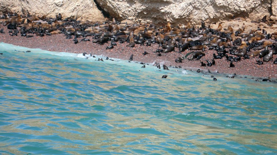 Lima: Ballestas & Huacachina Day Trip w/ Nazca Lines Flight - The real-life flow: why the order might change
