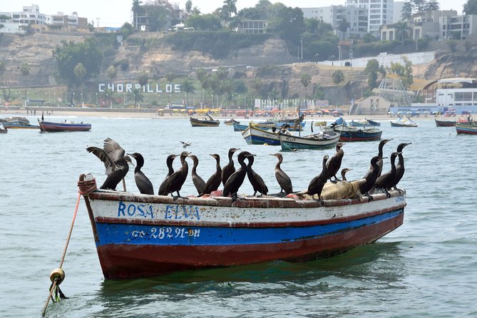 Lima Off the Beaten Path: Local Communities and Cultural Immersion - Price and value: why $186 can feel fair for what you get
