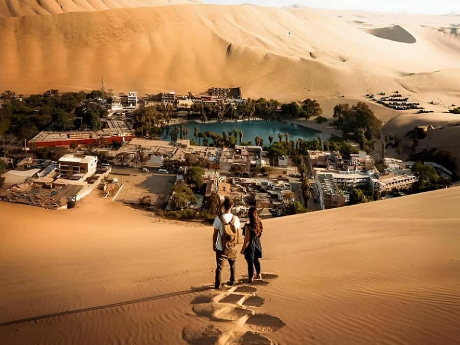 Lima: Paracas & Huacachina Oasis Day Trip with Wine & Dunes - Key highlights you’ll feel in real life