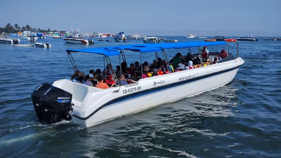 Lima: Paracas & Huacachina Oasis Day Trip with Wine & Dunes - Logistics for this long day: timing, transportation comfort, and what to pack