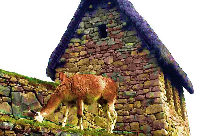 Machu Picchu 1 Day Tour from Cusco by Train - Lunch Time, Village Stroll, and the Descent Back to Aguas Calientes