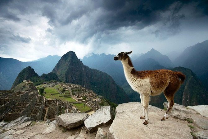 Machu Picchu Entrance Ticket - Two ways in: Digital Entry vs Circuit 2 last-minute tour