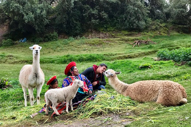 Machu Picchu Full Day from Cusco - Price and value: $319.85 means planning, not just tickets