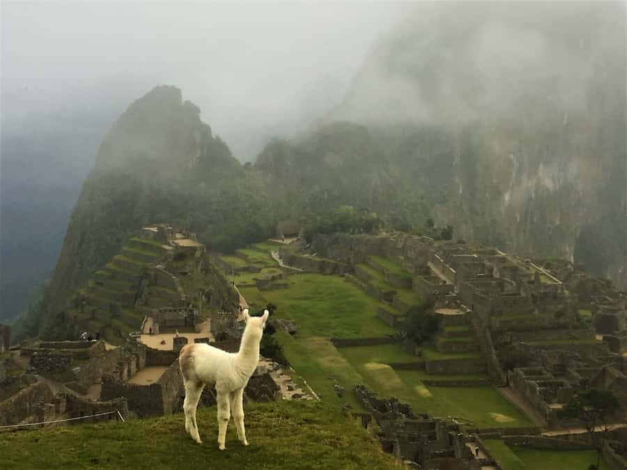 Machu Picchu: Private Tour Guide Service - What the Guide Cost Includes (and Why It’s Still Good Value)