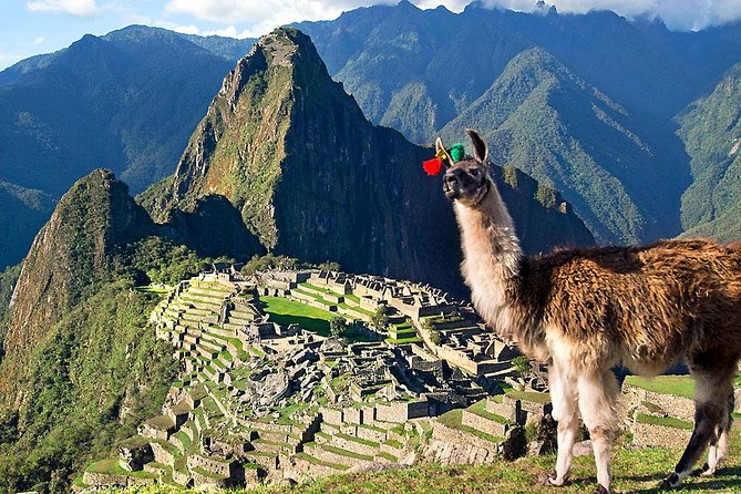 Machu Picchu Tour by Vistadome Panoramic Train from Cusco - Vistadome panoramic train: the comfort part of the long day