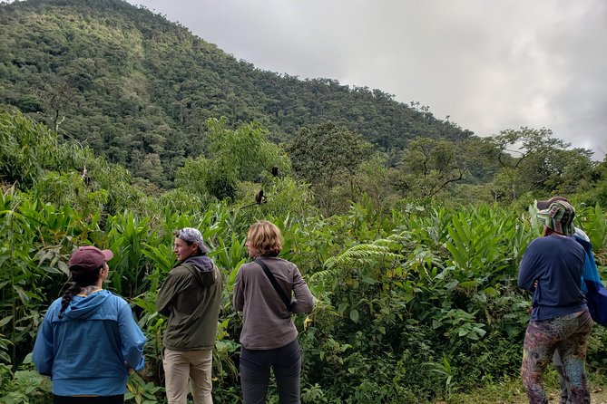 Manu National Park Tour 4days/3night - Birdwatching and Jungle Hikes: What You’ll Really Be Doing
