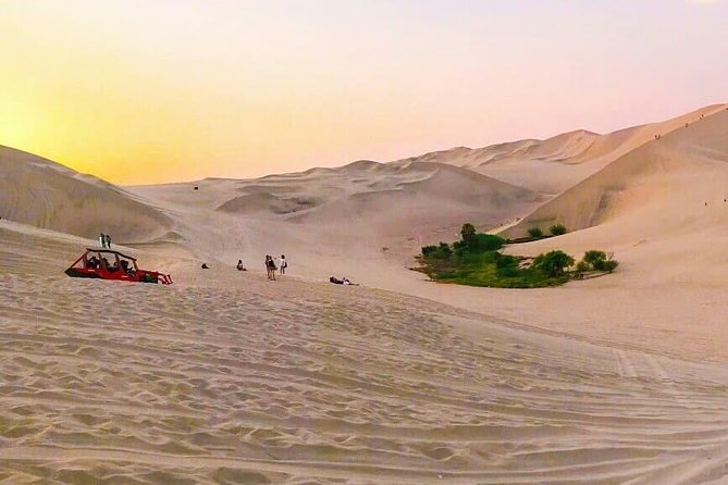 Nazca Lines and Dune Buggy (Huacachina) from Ica - Price and Real Costs: Is $180 Good Value?